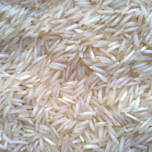 Buy 1121 Steam Basmati Rice